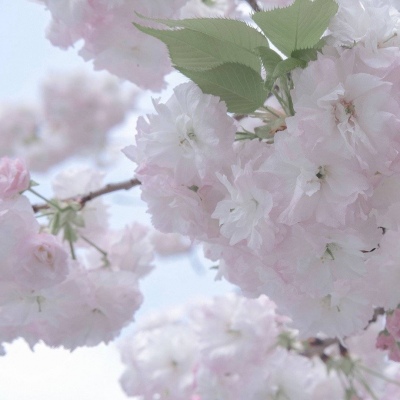 兽设比例设计基础教程兽圈群